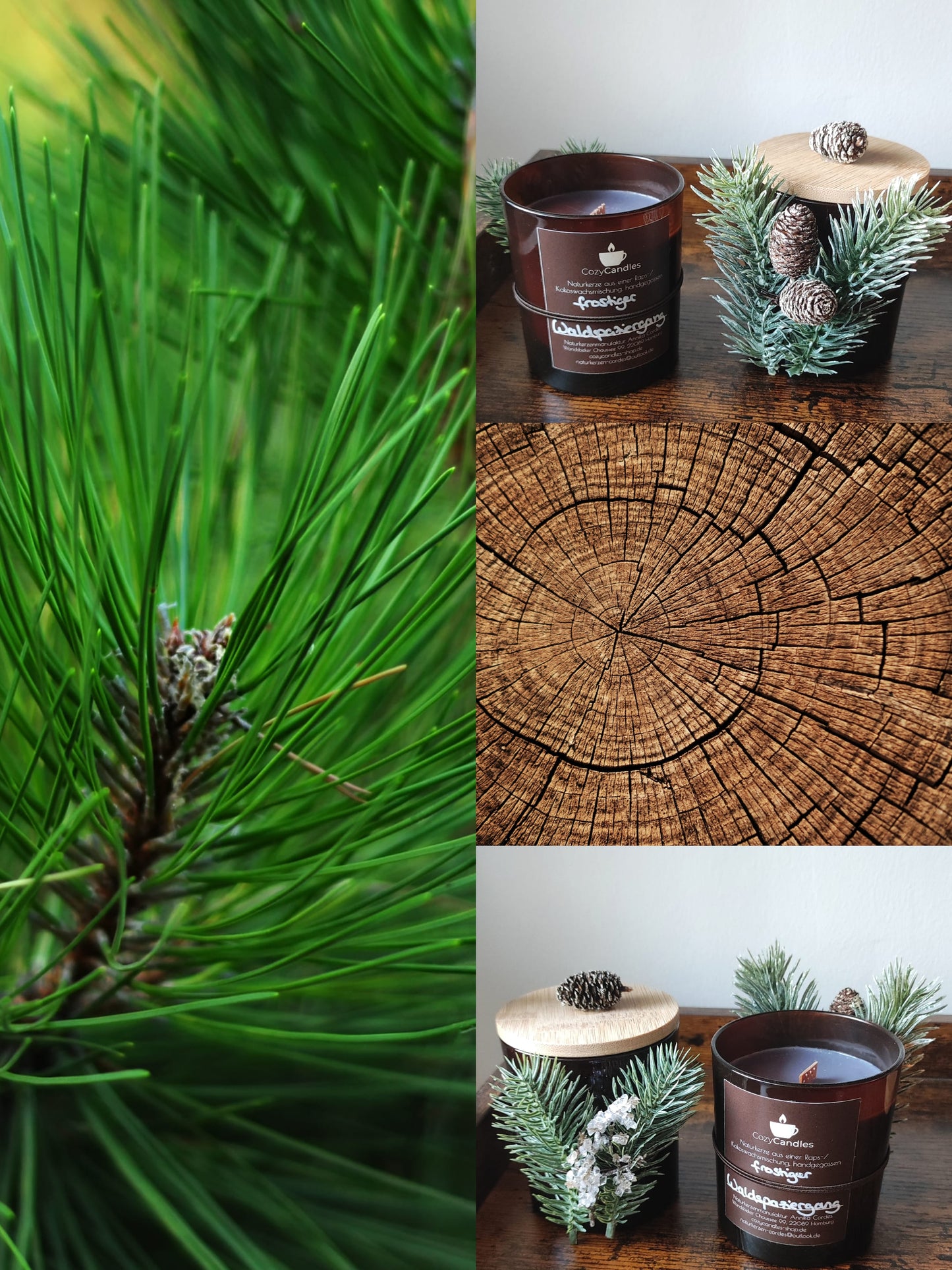 winterliche Duftkerze Waldspaziergang mit Noten aus Fichte Tanne Zedernholz Waldbeeren und kühler Brise