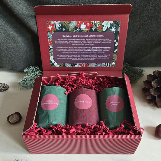 winterliche Duftkerzenbox als fertige Geschenkidee für Duftliebhaber, handgegossene Duftkerzen aus Rapswachs als Geschenk